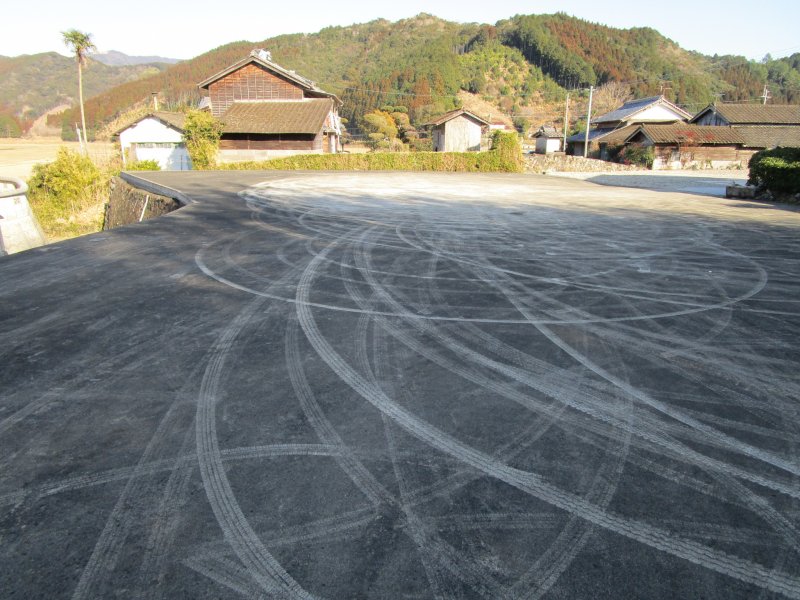 向井長年